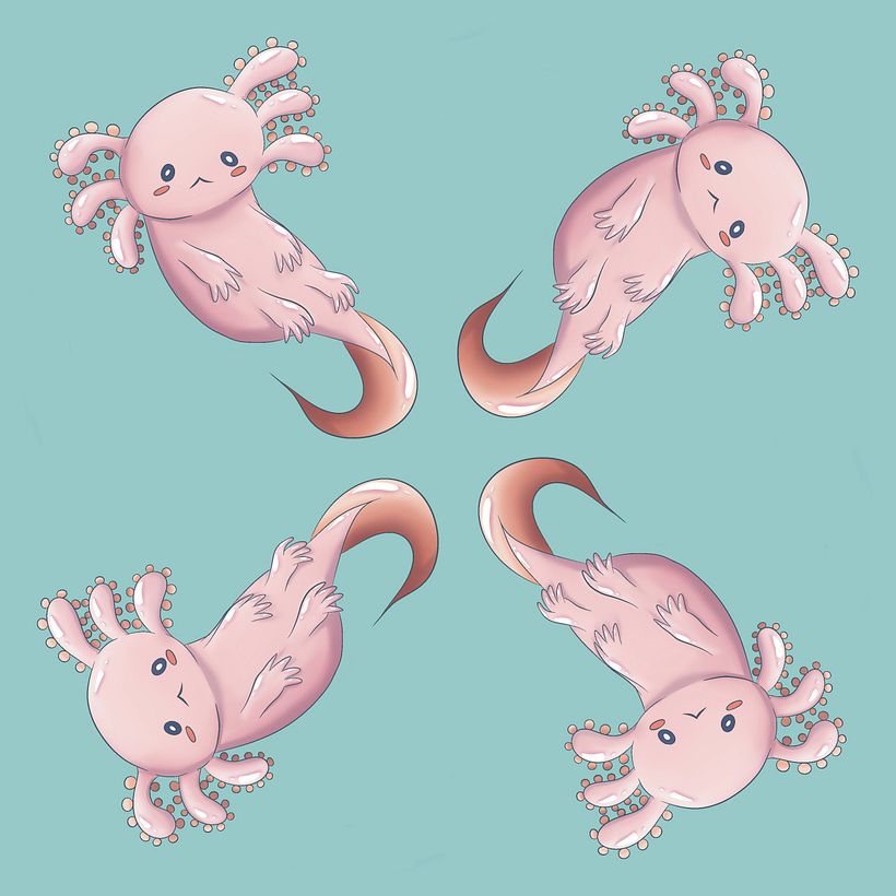 Practice with Procreate features of mirror imaging and hue/saturation/brightness/balance/curves.