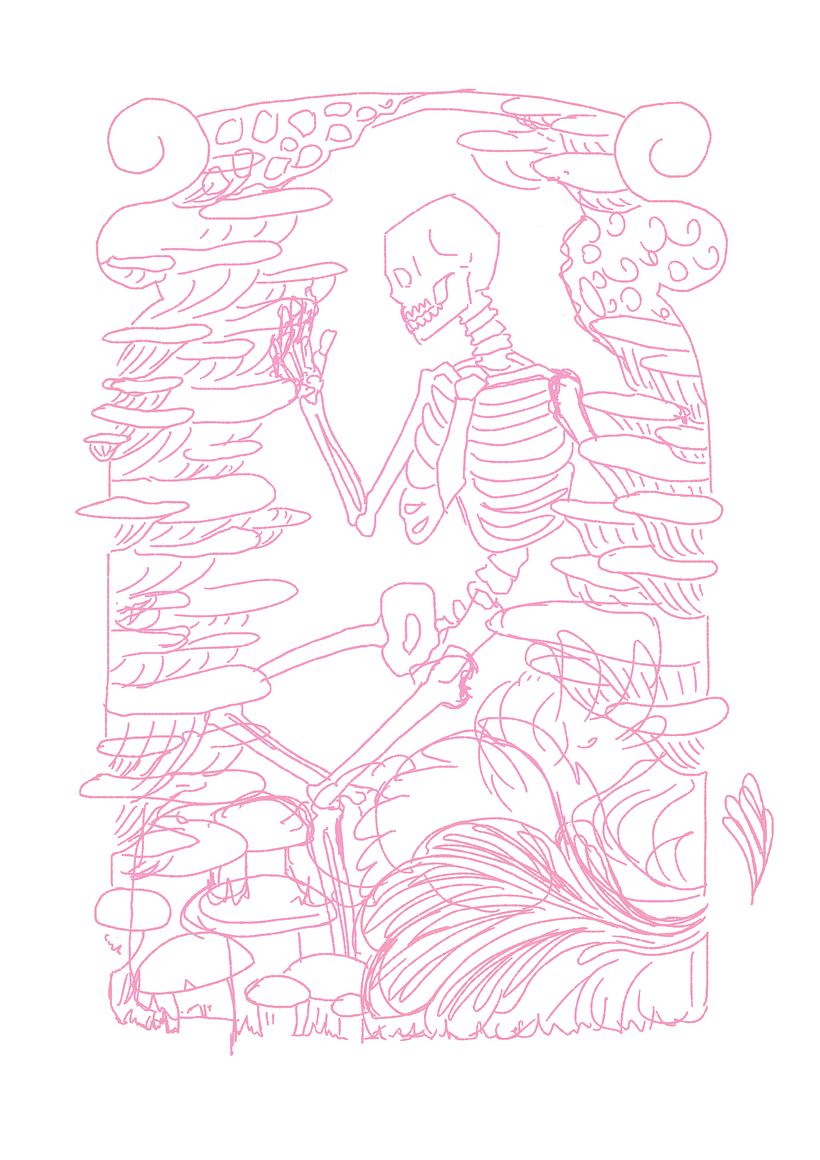 boceto