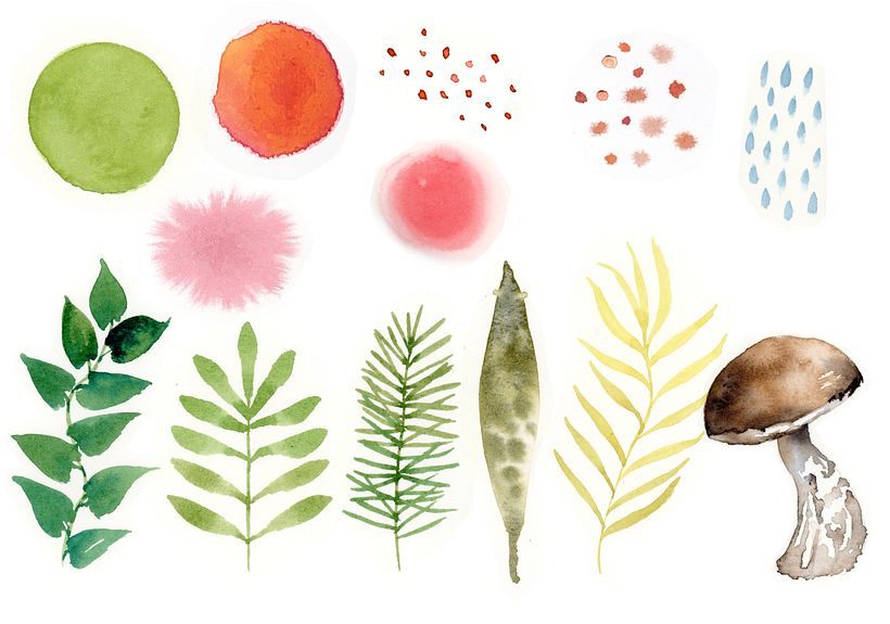 All additional elements that appear in the final project in their original colours.