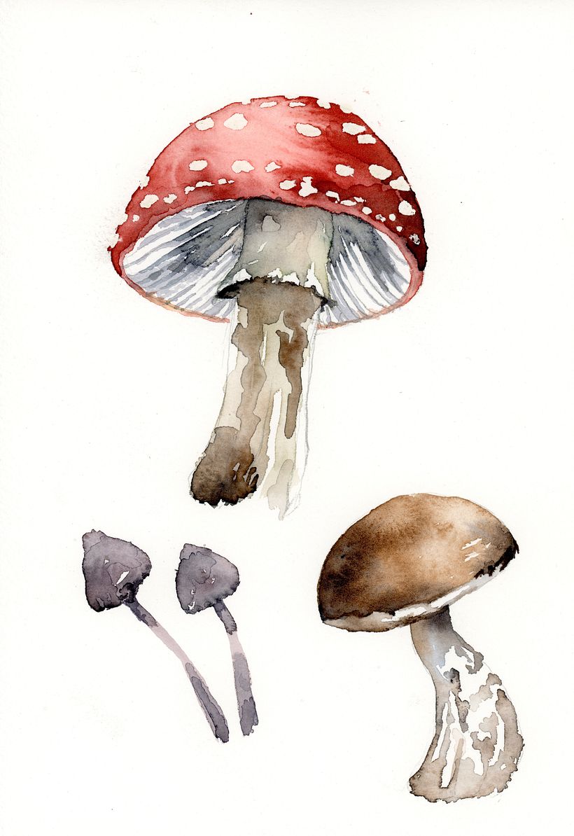 Unfortunately, only one of the mushrooms made it into the picture - leaving things out is not always easy :)