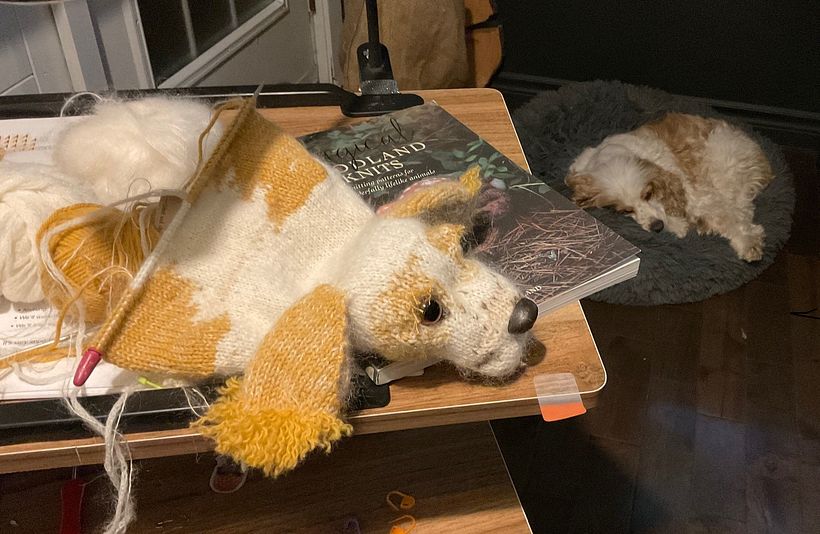 Mon projet du cours : Tricot réaliste en laine : créez un chiot en peluche 4