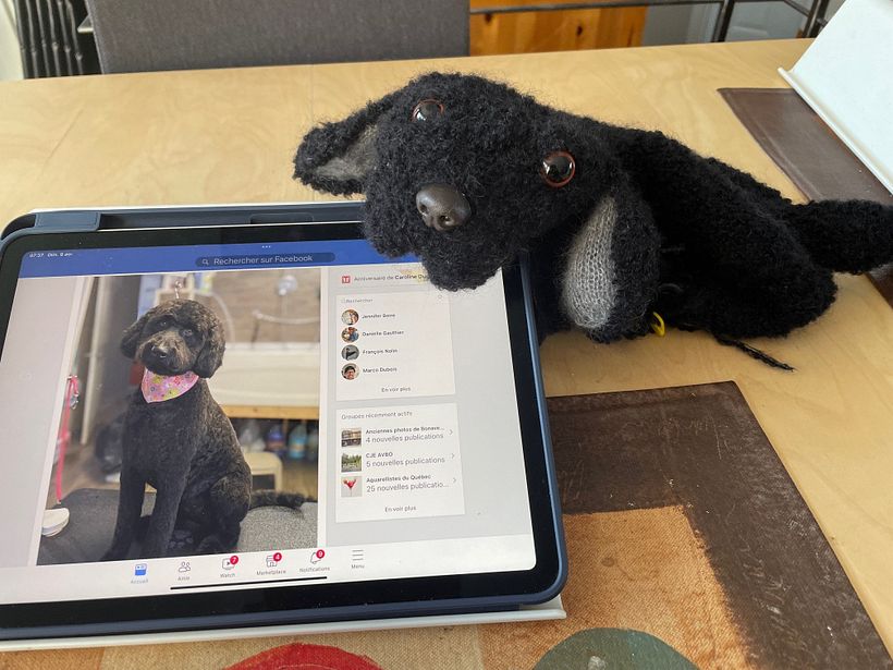 Mon projet du cours : Tricot réaliste en laine : créez un chiot en peluche 5
