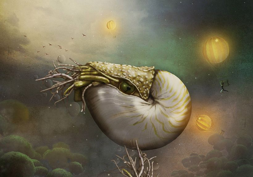 Naughty Nightly Nautilus
