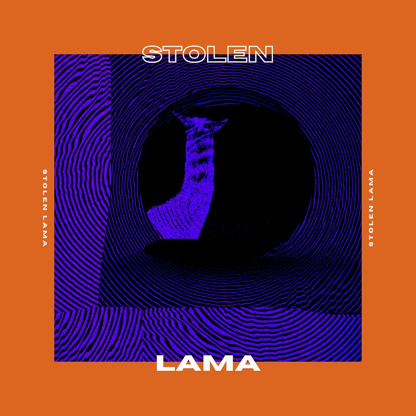Stolen lama band record cover