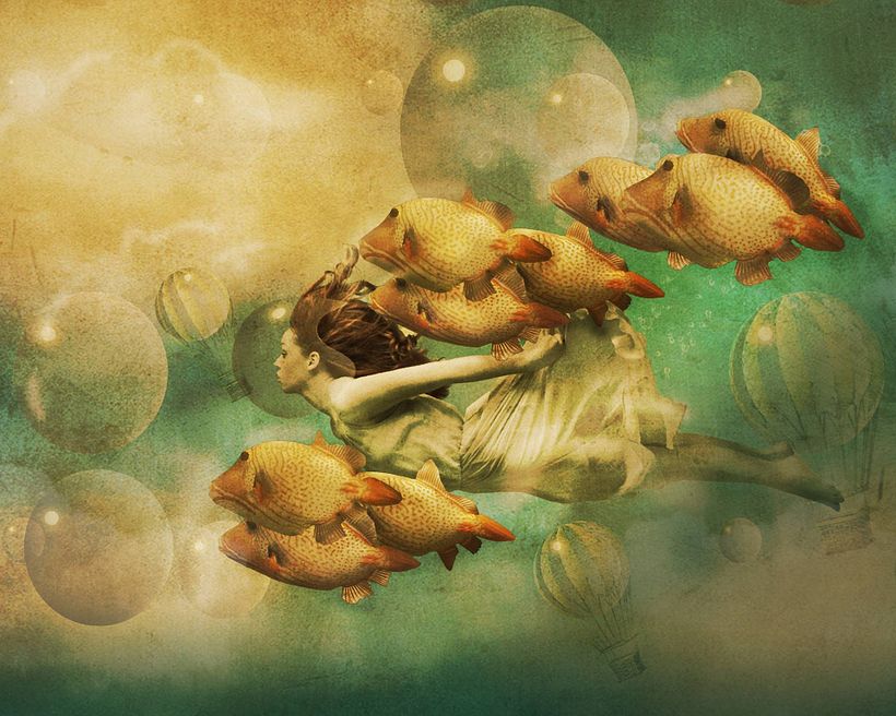 Poster for Aquarium Festival