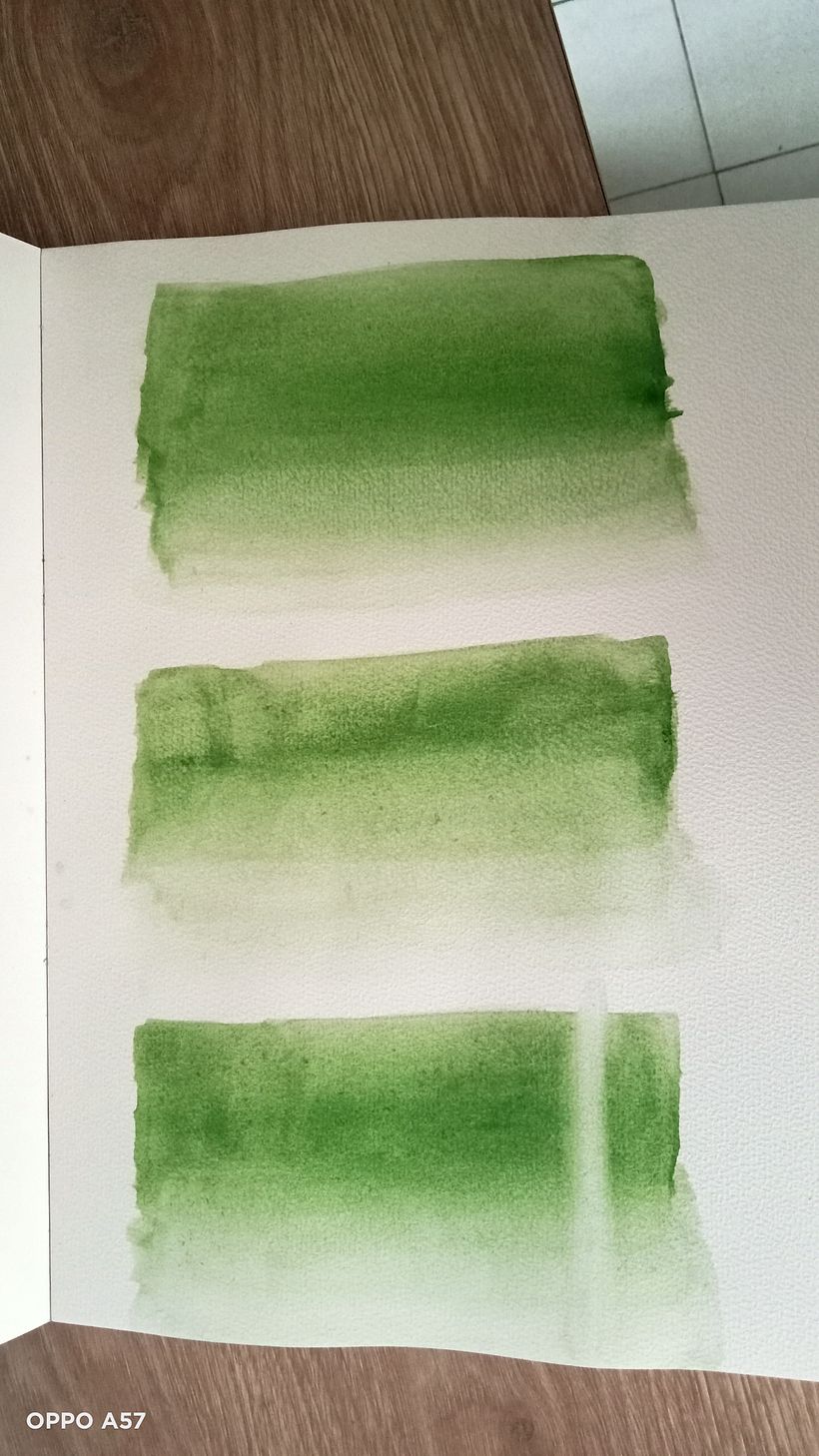 Suavizar los bordes y realce de color