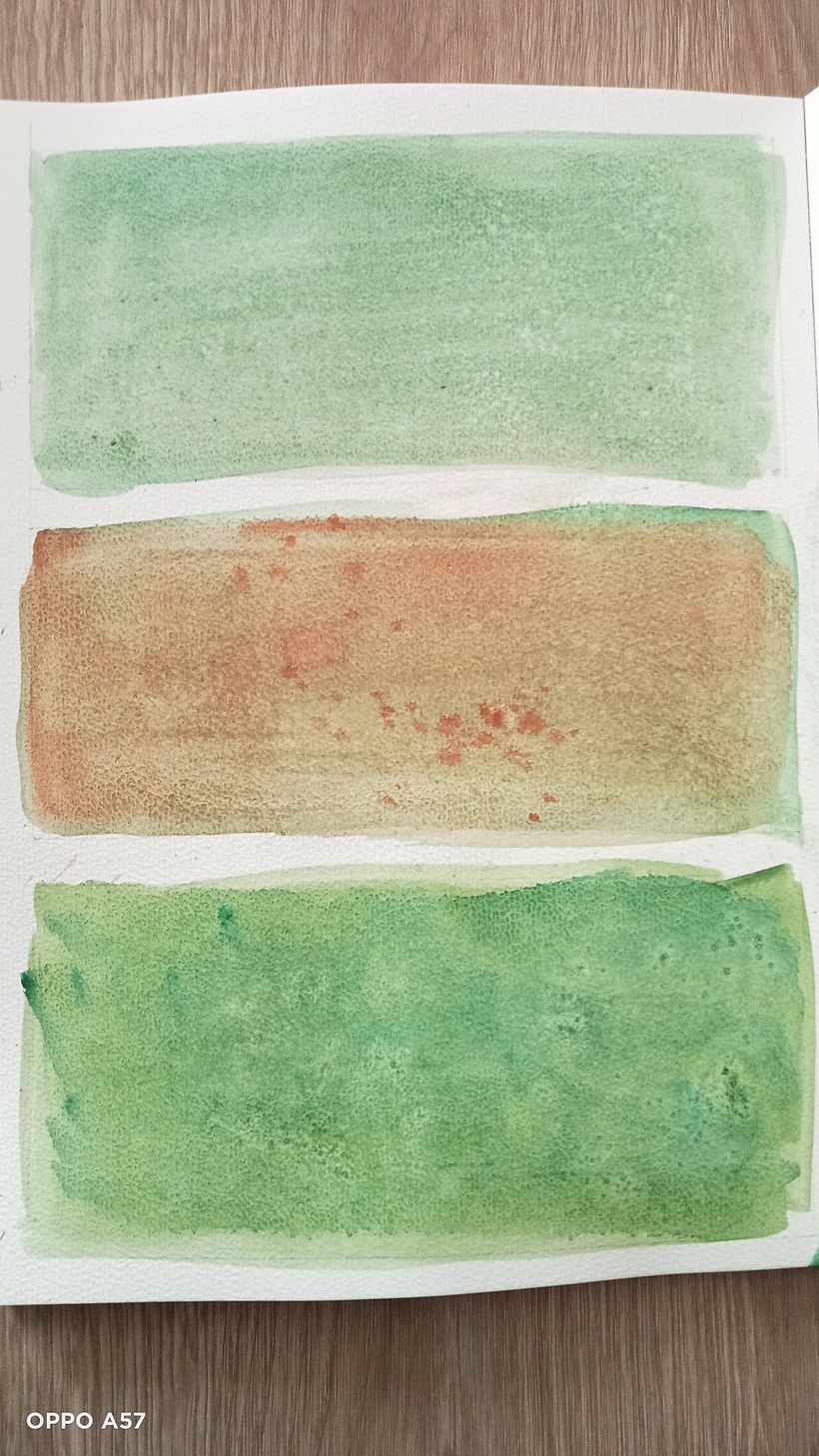 Texturas de vegetación