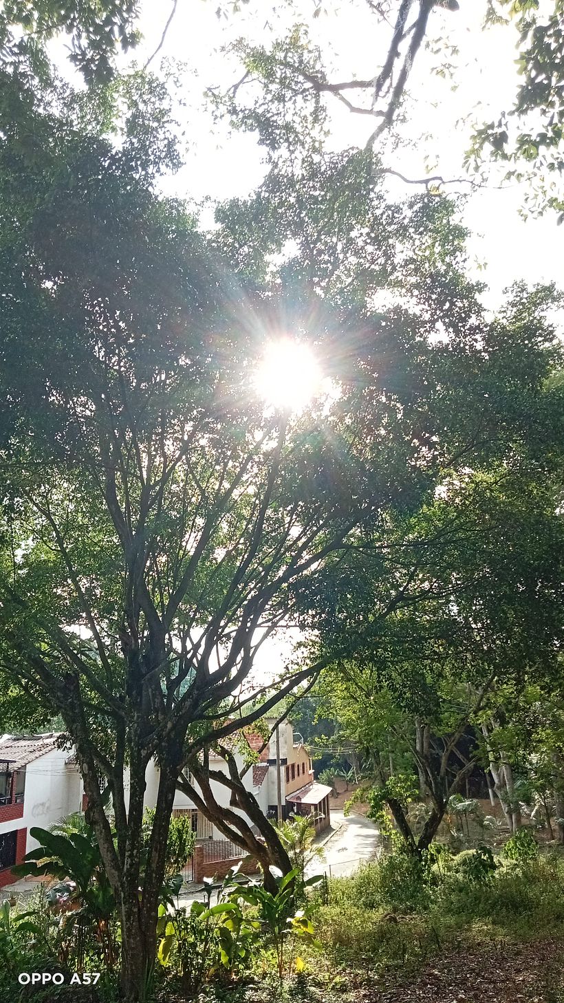 Imagen de referencia para el proyecto final