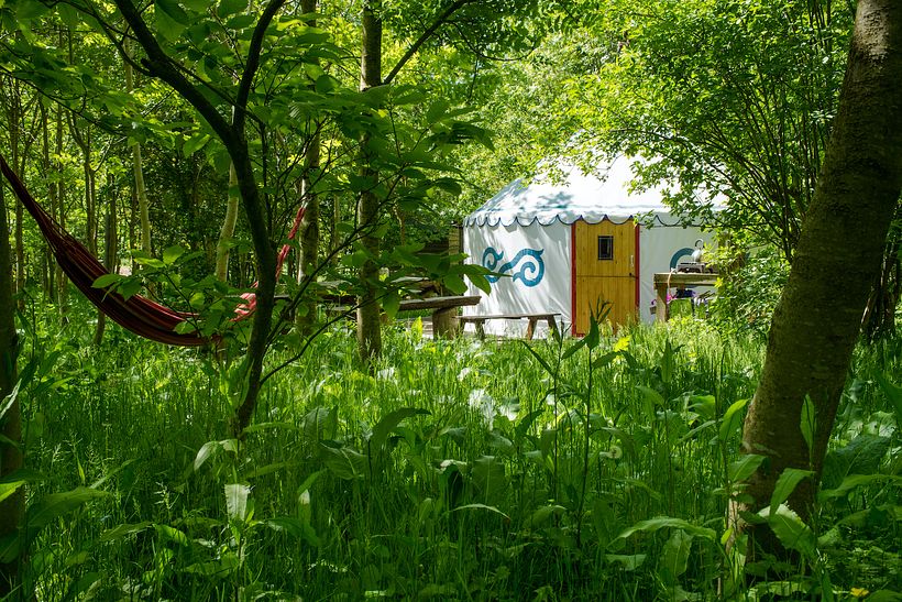 Founded Elessar Yurt Village: A Sustainable events space for up to 120 guests. 2