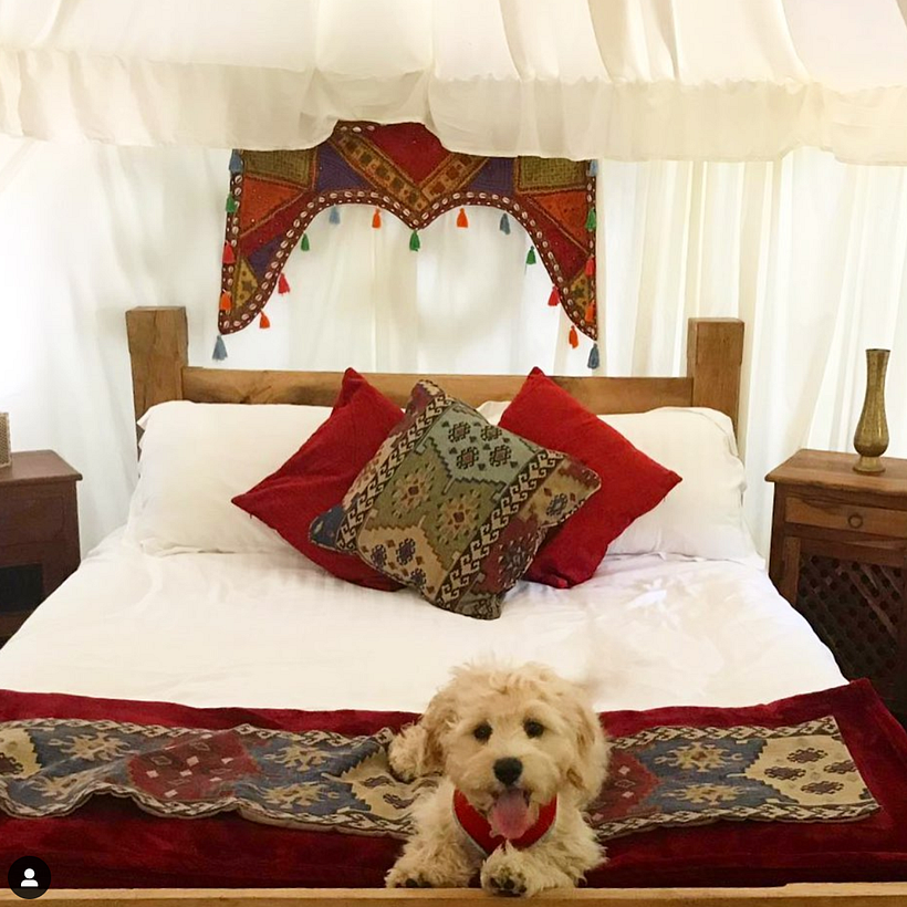 Founded Elessar Yurt Village: A Sustainable events space for up to 120 guests. 2