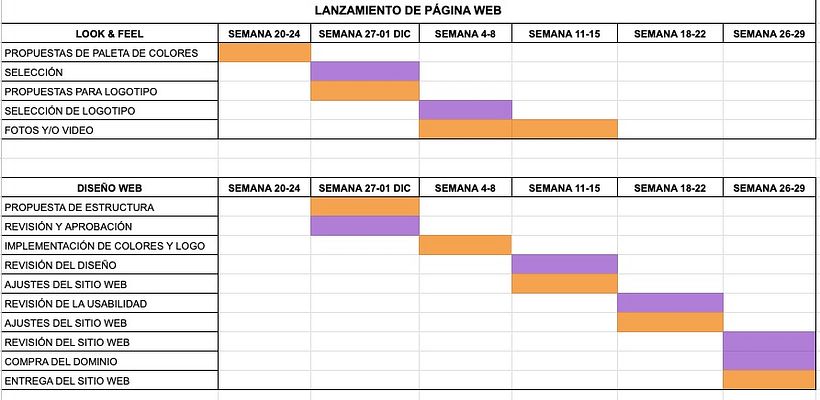 Cronograma de Actividades