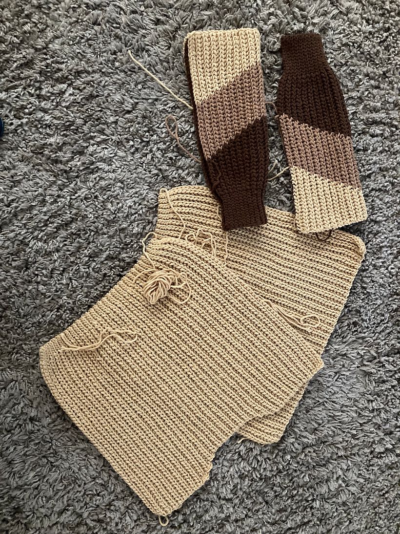 Front, back and sides of jumper completed. I like earth tones so I went with browns. 