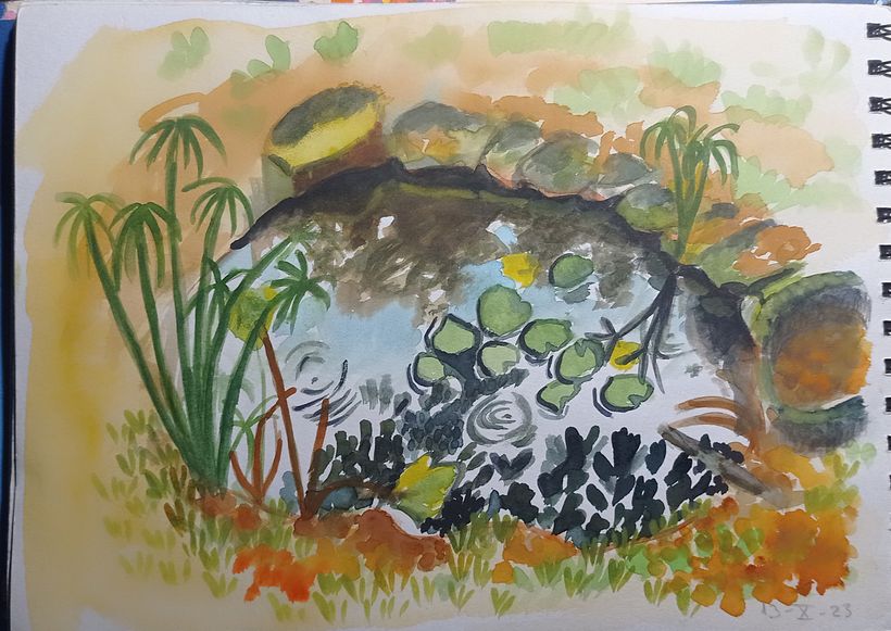 acuarela hecha sobre el estanque en vivo