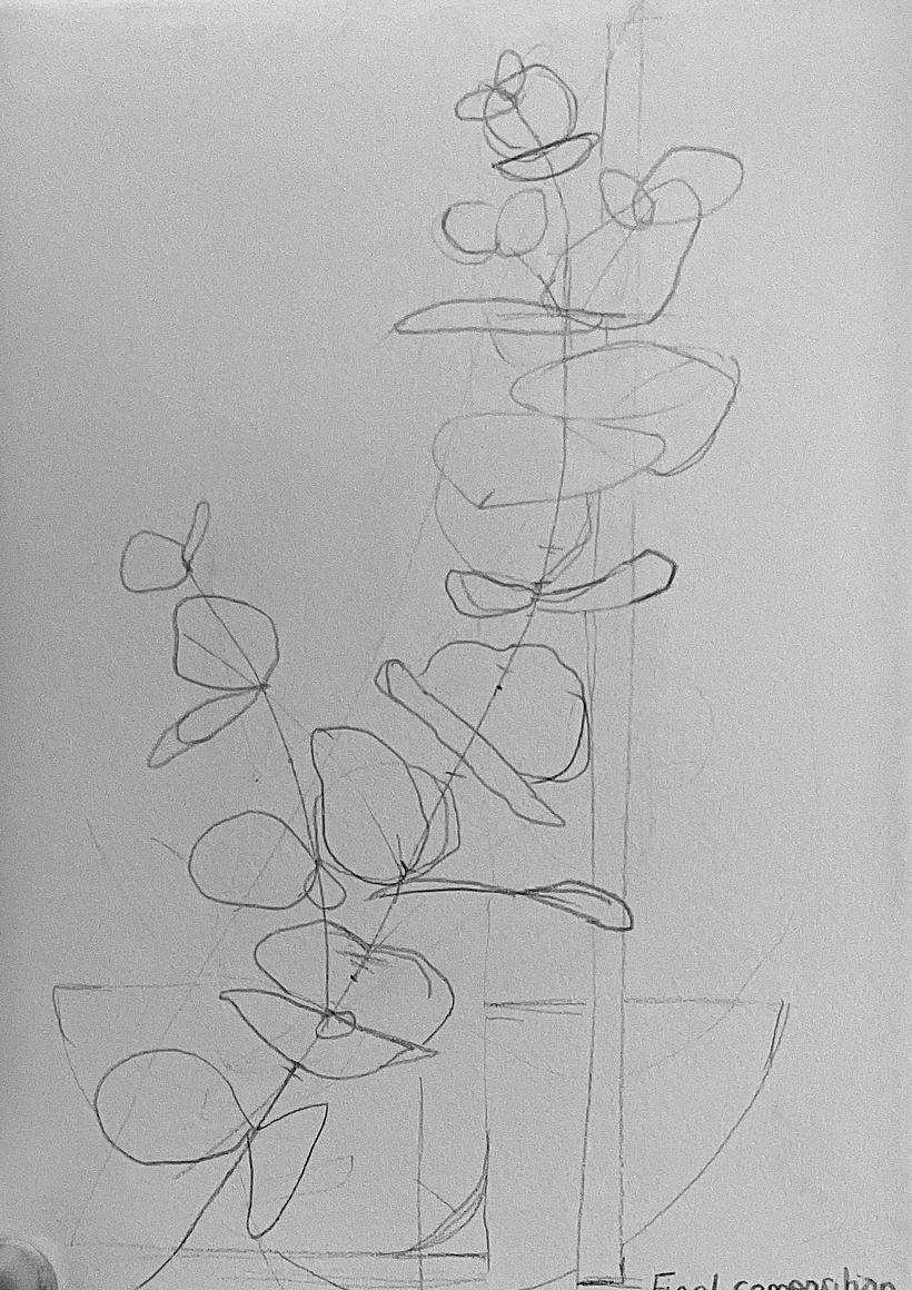 Eucalyptus shape exploration sketch 
