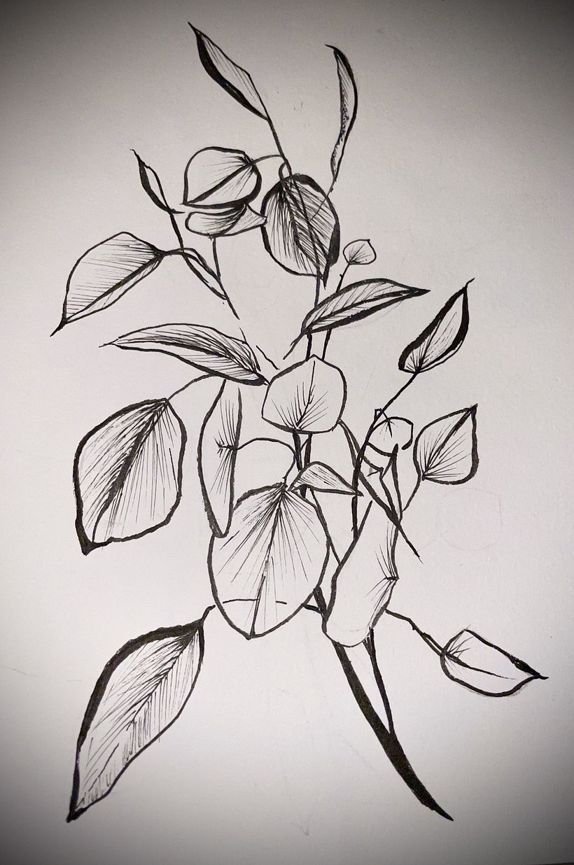 My project for course: Contemporary Botanical Illustration with Ink 3