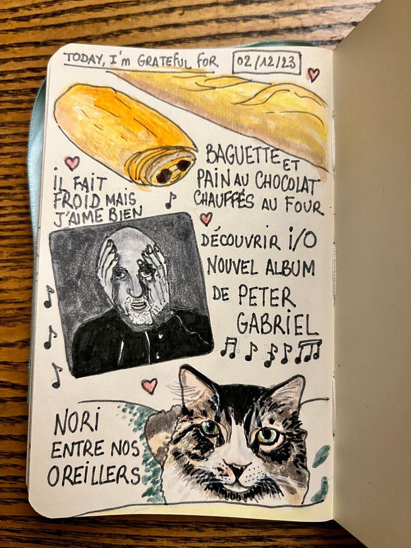Cold day that I enjoy, our cat Nori between our pillows, new album by Peter Gabriel, croissants !