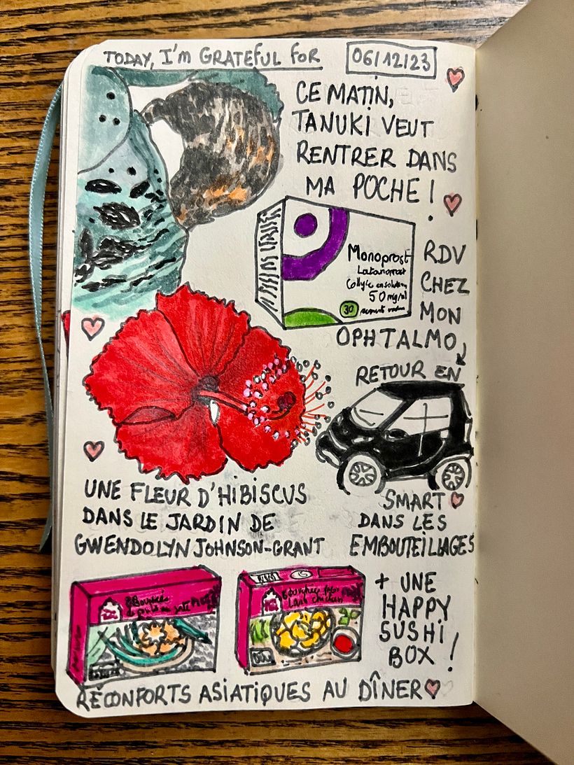 Tanuki tries to snuggle into my pocket, Paris appointment with ophtalomologist, difficult return and Sushi Box
