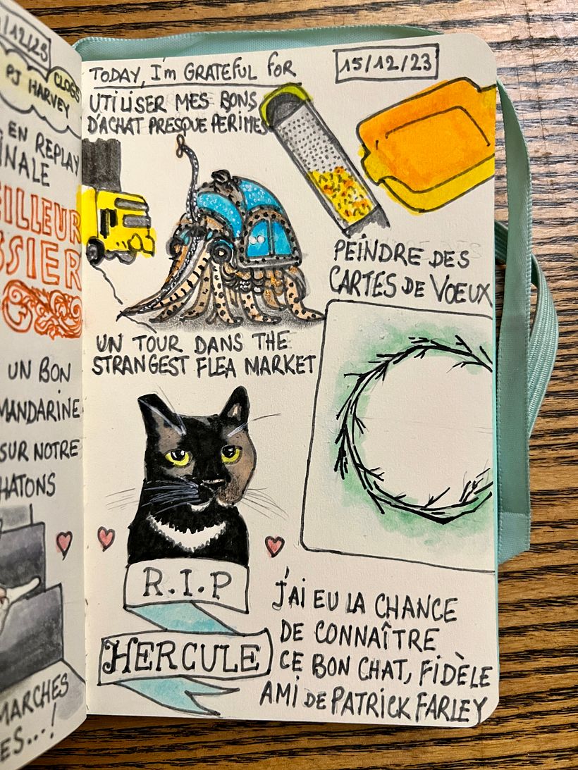 Drawing a portrait of Hercule, a friend's cat, painting cards, buying some kitchenware 