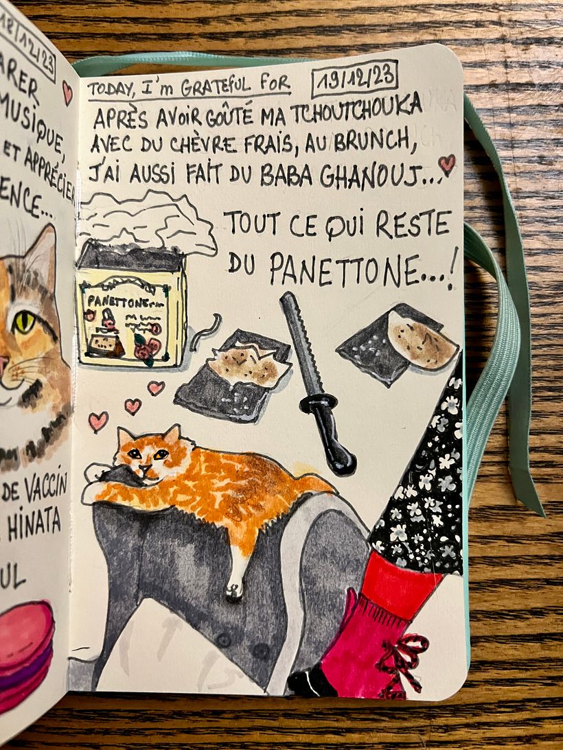 Eating delicacies I cooked,  but also panettone and watching Yuzu watch me from his perch atop the armchair