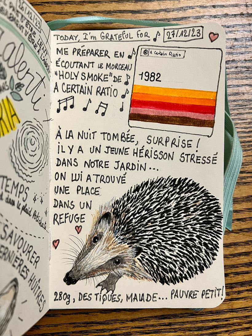 Saving a young hedgehog that wandered at night in our garden !