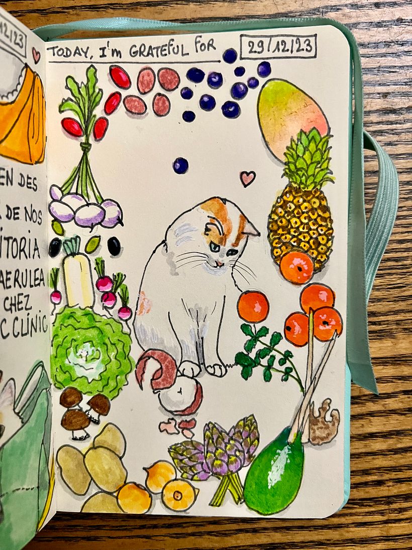 Grocery shopping for lots of fruits and vegetables
