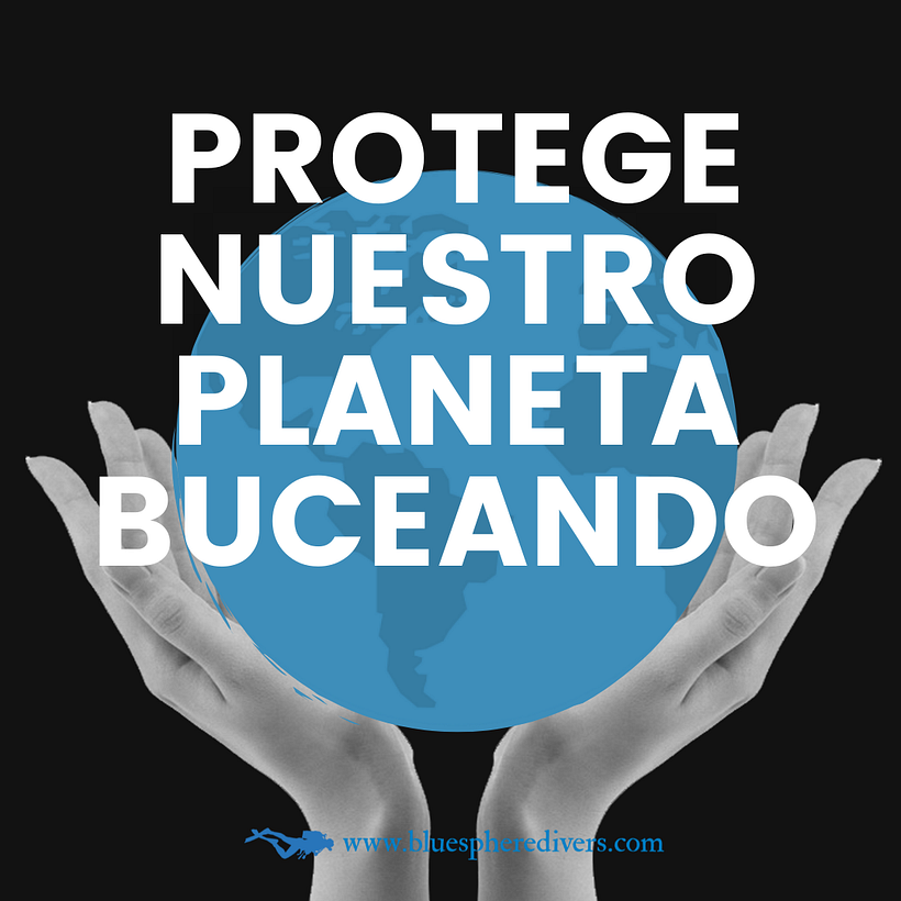 Blue Sphere Divers | Branding Collage Animado 4