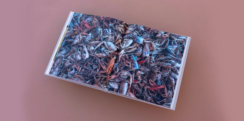 La fotografía de Pedro Saavedra 4