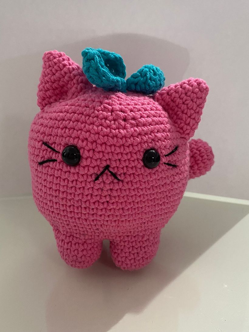 Mi primer Mangato  3