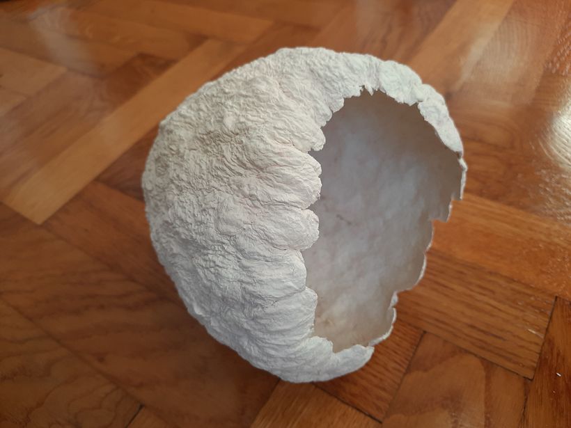 My project for course: Paper pulp objects 2