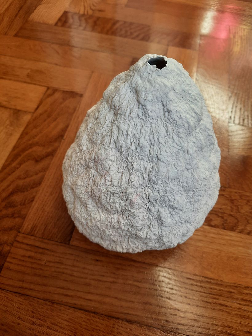 My project for course: Paper pulp objects 2