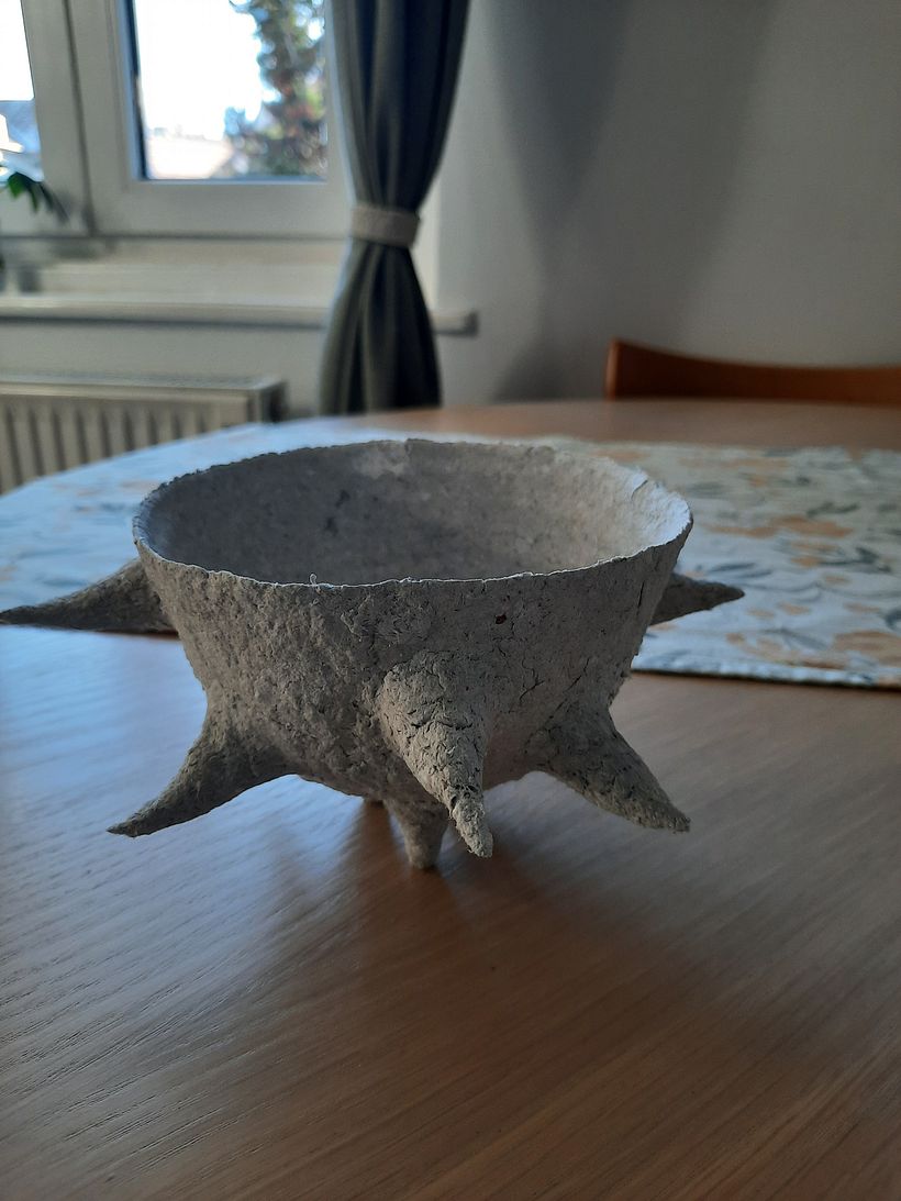 My project for course: Paper pulp objects 3