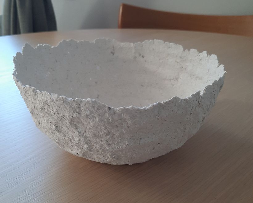 My project for course: Paper pulp objects 5