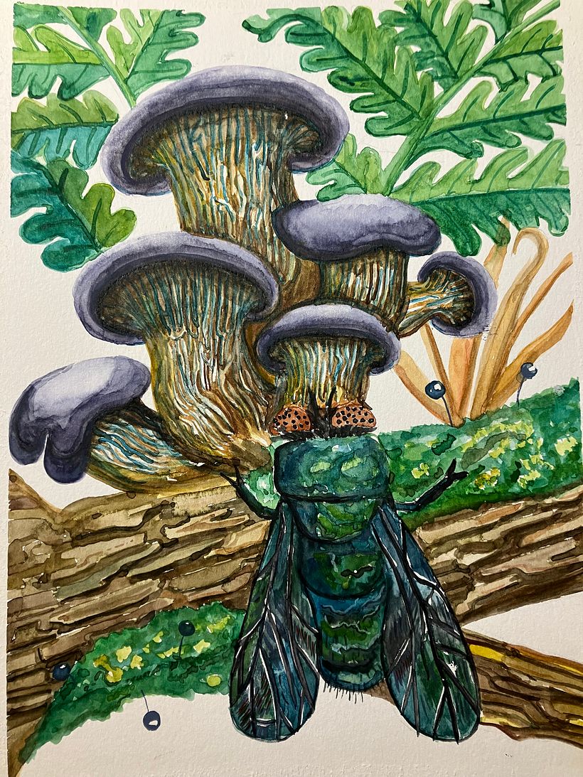 My project for course: Naturalistic Illustration in Watercolor and Gouache 1