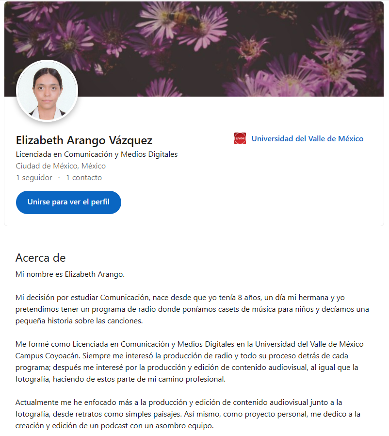 Vista pública del perfil una vez abierto el perfil
