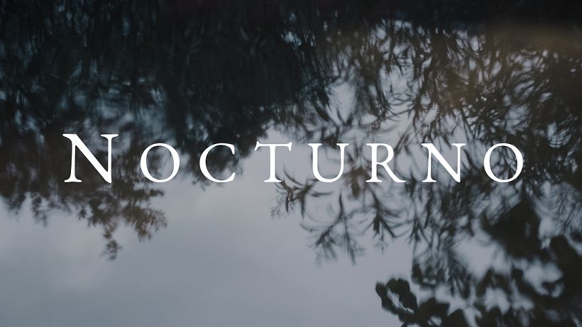 NOCTURNO 10
