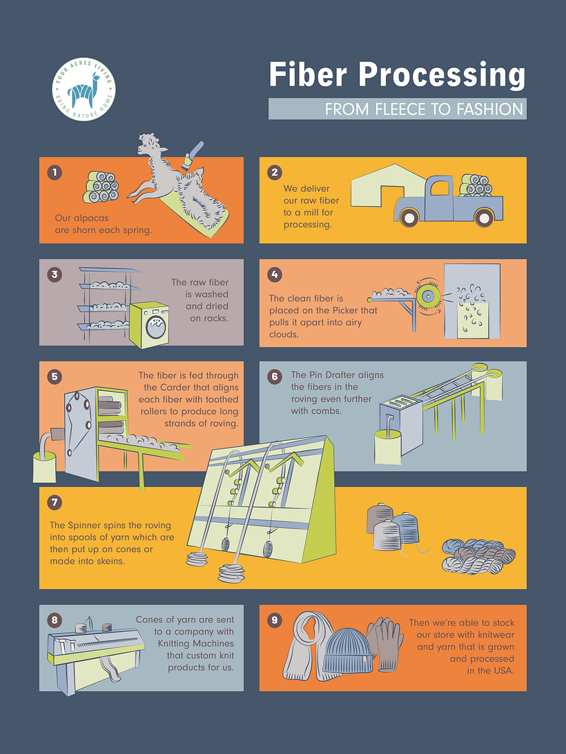 My project for course: Visual Storytelling Through Infographics 2