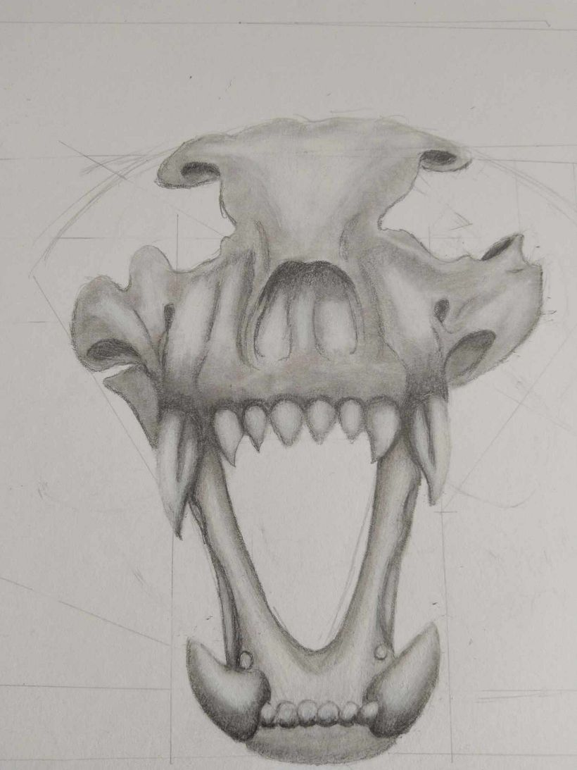 Mi proyecto del curso: Dibujo anatómico con lápiz de grafito para principiantes 1