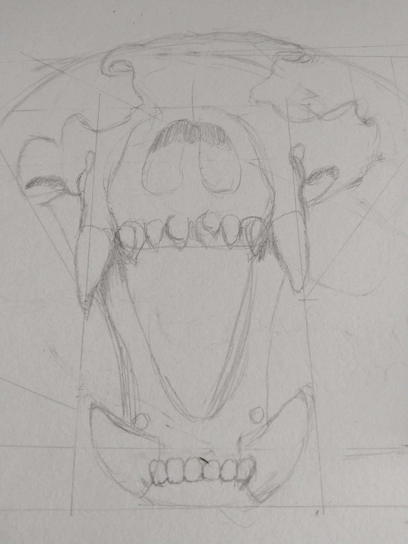 Mi proyecto del curso: Dibujo anatómico con lápiz de grafito para principiantes 2