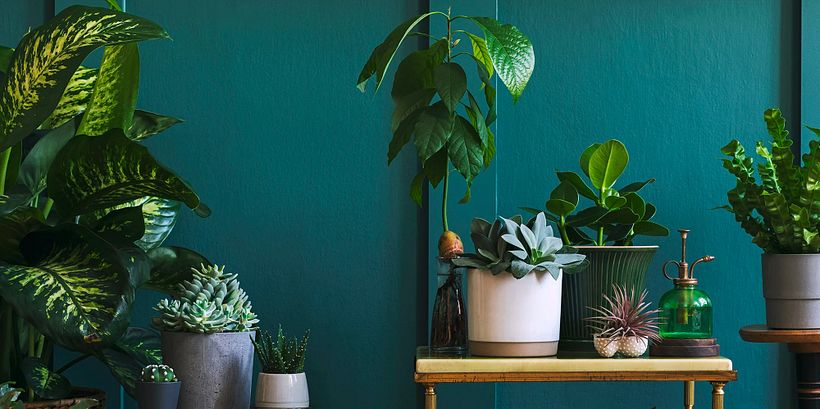 Transform Your Home with These Inspiring Tips 2