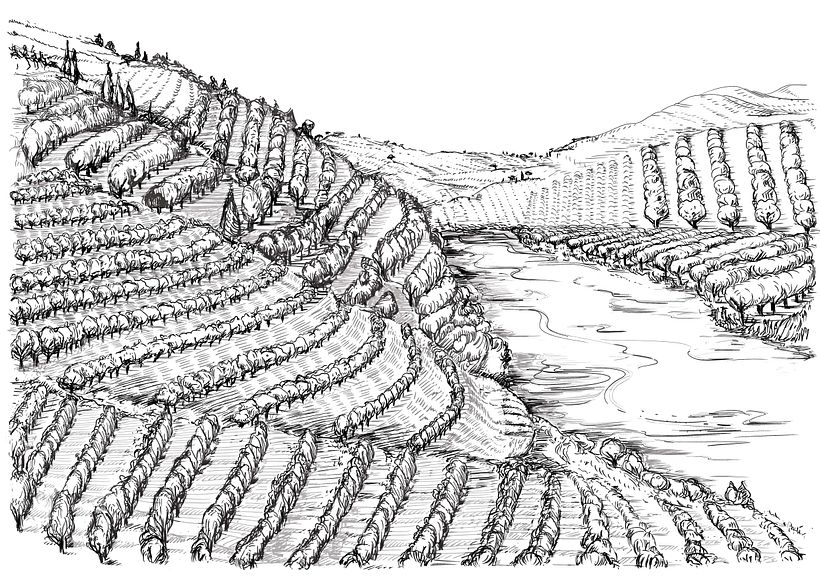 Black line Illustration 12