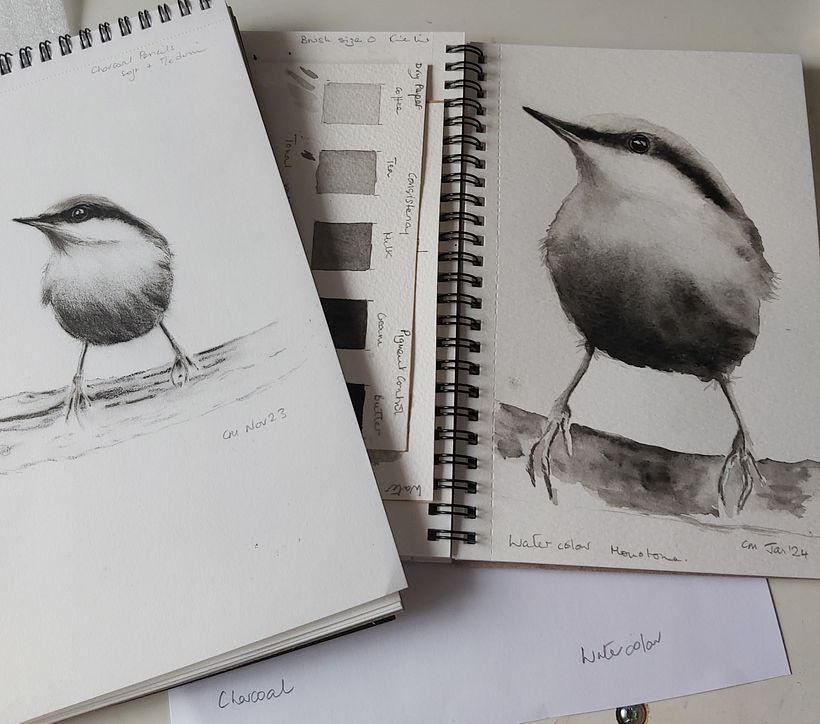 Nuthatch in charcoal (L) and watercolour (R).