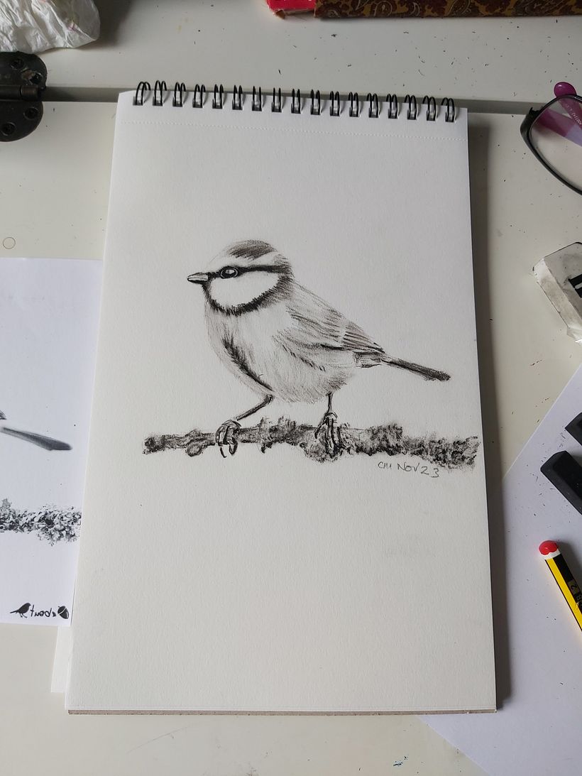 Loving charcoal so a minor diversion to try some other birds in monotones.