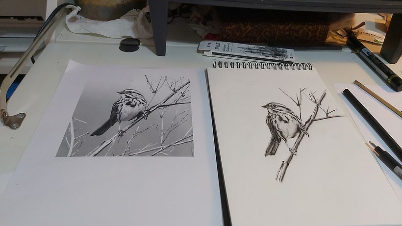 My project for course: Artistic Watercolor Techniques for Illustrating Birds 5