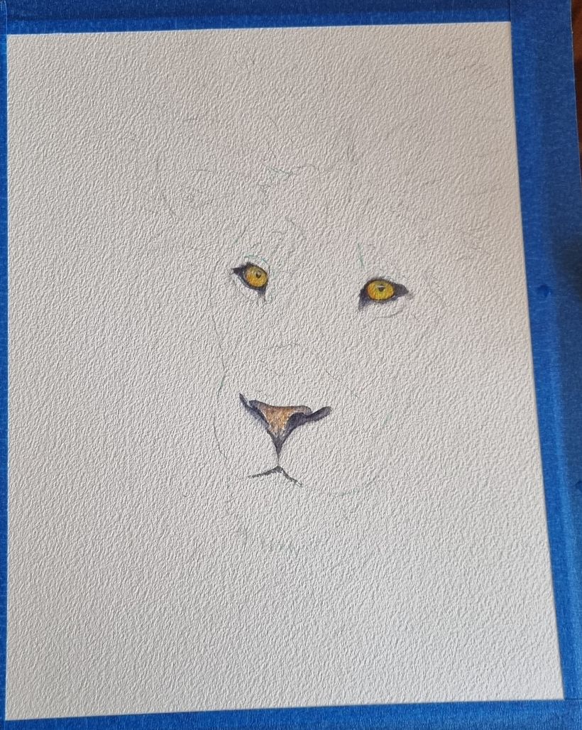 Initial Sketch, Eyes and Nose