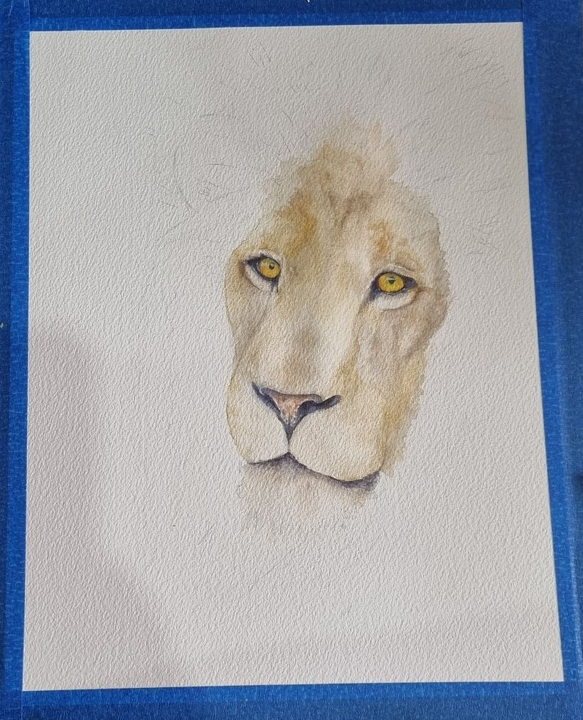 First layer of the lion's face