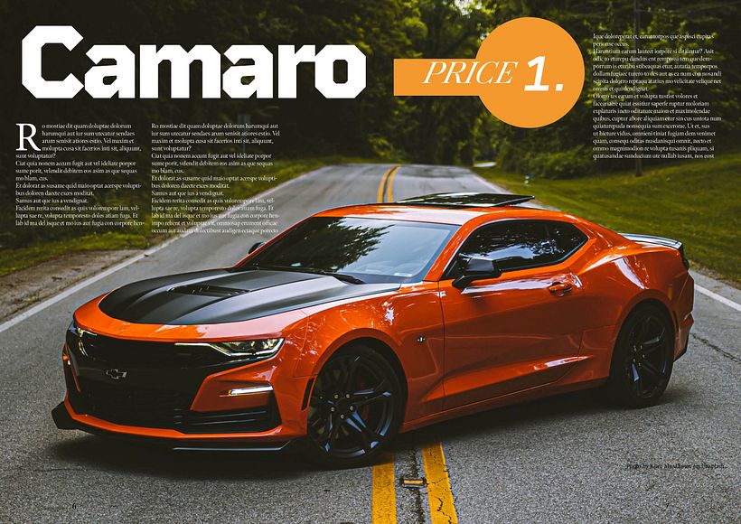 My project for course: Editorial Design 101 6
