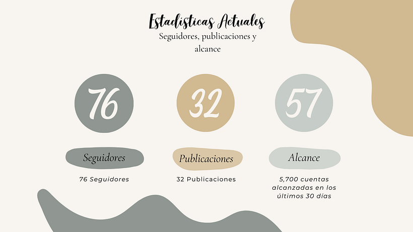 Mi proyecto del curso: Introducción al community management 4
