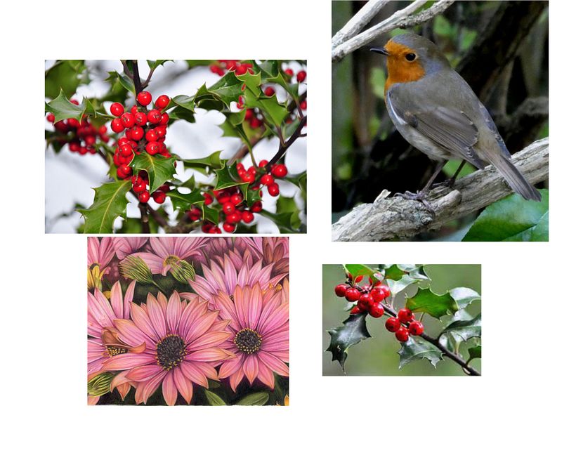 Reference photos. Photo reference from a friend. 