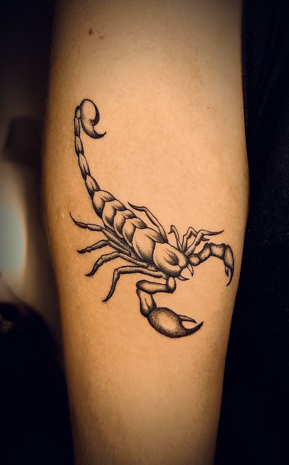 Il mio progetto del corso: Tecniche di tatuaggio blackwork in fine line 1