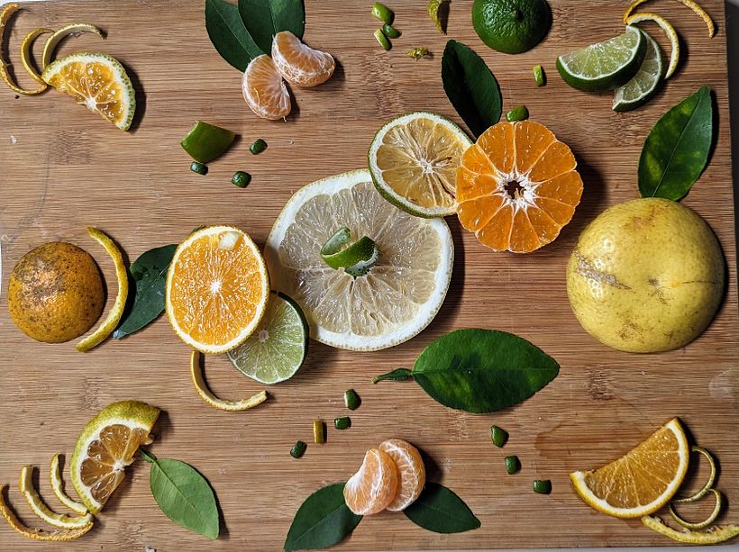 _Hidratantes naturales